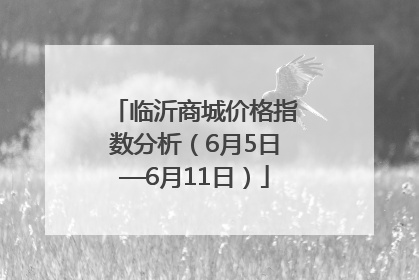 临沂商城价格指数分析（6月5日—6月11日）