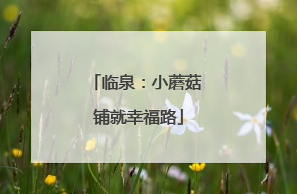 临泉：小蘑菇铺就幸福路