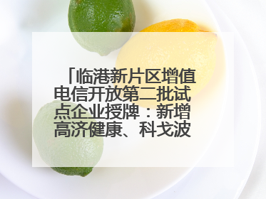 临港新片区增值电信开放第二批试点企业授牌：新增高济健康、科戈波特两家