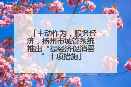 主动作为，服务经济，扬州市城管系统推出“提经济促消费”十项措施