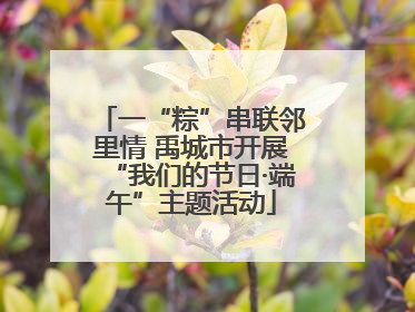 一“粽”串联邻里情 禹城市开展“我们的节日·端午”主题活动