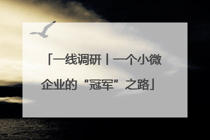 一线调研丨一个小微企业的“冠军”之路