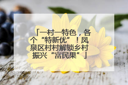 一村一特色，各个“特新优”！凤泉区村村解锁乡村振兴“富民果”