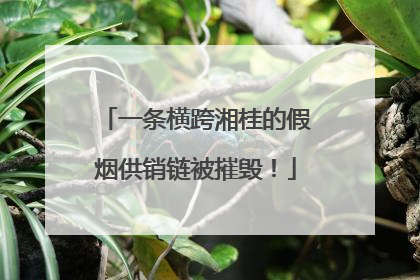 一条横跨湘桂的假烟供销链被摧毁！