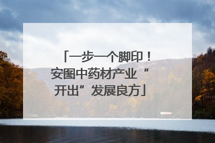 一步一个脚印！安图中药材产业“开出”发展良方