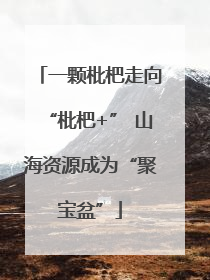 一颗枇杷走向“枇杷+” 山海资源成为“聚宝盆”