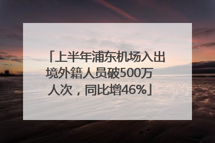 上半年浦东机场入出境外籍人员破500万人次，同比增46%