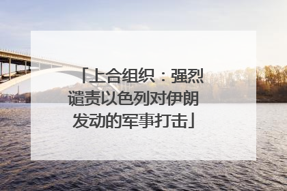 上合组织：强烈谴责以色列对伊朗发动的军事打击