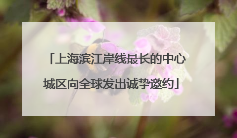 上海滨江岸线最长的中心城区向全球发出诚挚邀约