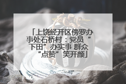 上饶经开区傍罗办事处石桥村：党员“下田”办实事 群众“点赞”笑开颜