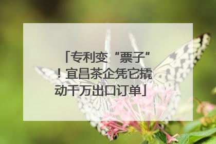 专利变“票子”！宜昌茶企凭它撬动千万出口订单