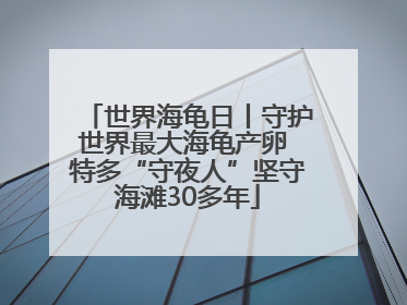 世界海龟日丨守护世界最大海龟产卵 特多“守夜人”坚守海滩30多年