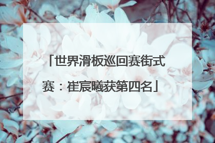 世界滑板巡回赛街式赛：崔宸曦获第四名