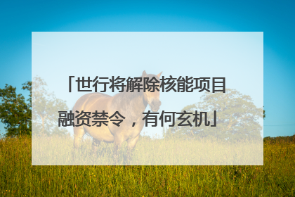 世行将解除核能项目融资禁令，有何玄机