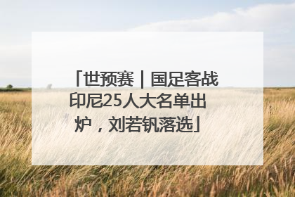 世预赛｜国足客战印尼25人大名单出炉，刘若钒落选