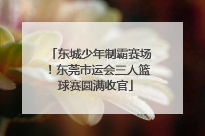东城少年制霸赛场！东莞市运会三人篮球赛圆满收官