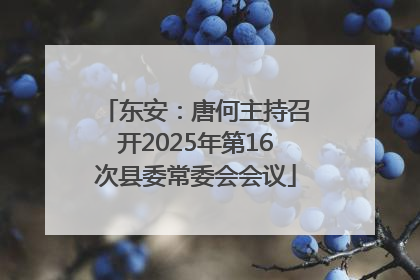 东安：唐何主持召开2025年第16次县委常委会会议