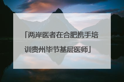两岸医者在合肥携手培训贵州毕节基层医师