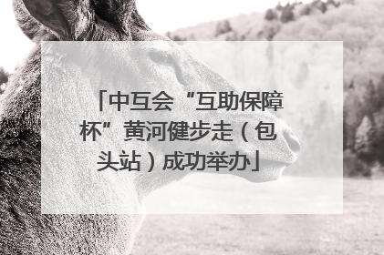 中互会“互助保障杯”黄河健步走（包头站）成功举办