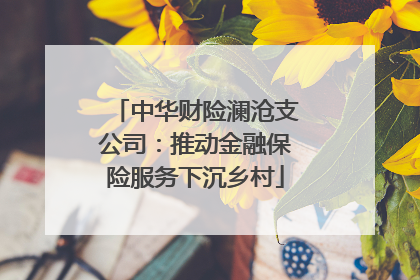 中华财险澜沧支公司：推动金融保险服务下沉乡村
