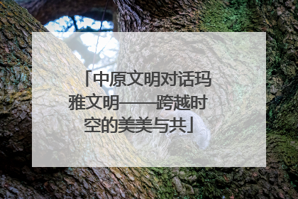 中原文明对话玛雅文明——跨越时空的美美与共
