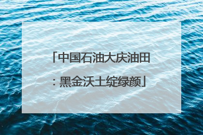 中国石油大庆油田：黑金沃土绽绿颜