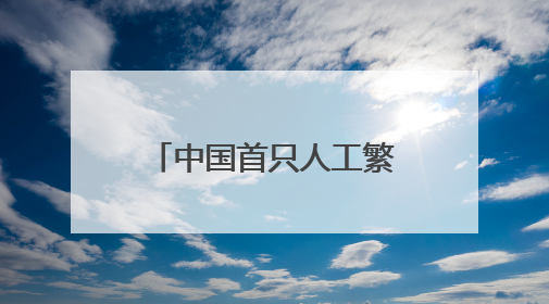 中国首只人工繁育成活的雌性雪豹迎来9岁生日