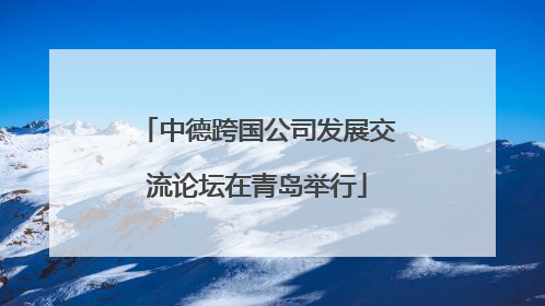 中德跨国公司发展交流论坛在青岛举行