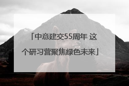 中意建交55周年 这个研习营聚焦绿色未来