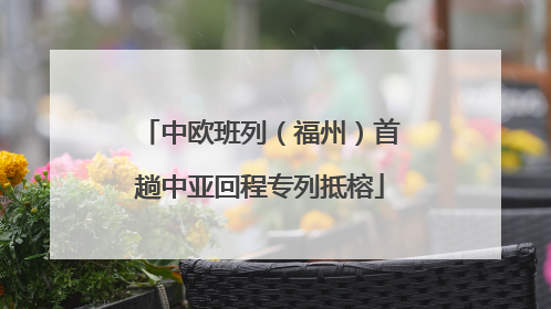 中欧班列（福州）首趟中亚回程专列抵榕