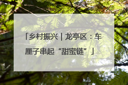 乡村振兴｜龙亭区：车厘子串起“甜蜜链”