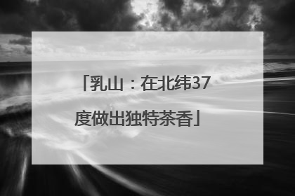 乳山：在北纬37度做出独特茶香