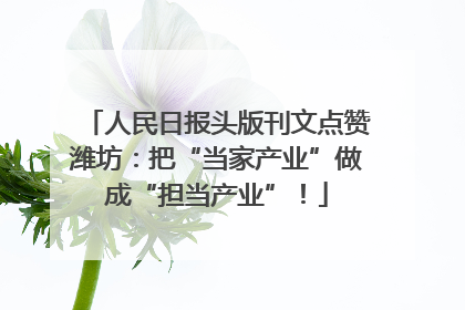人民日报头版刊文点赞潍坊：把“当家产业”做成“担当产业”！