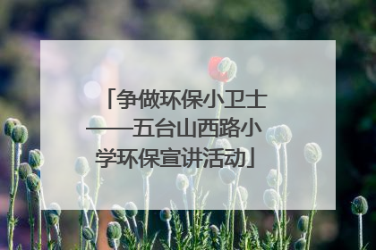 争做环保小卫士——五台山西路小学环保宣讲活动