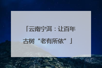 云南宁洱：让百年古树“老有所依”