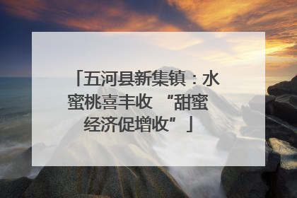 五河县新集镇：水蜜桃喜丰收 “甜蜜经济促增收”