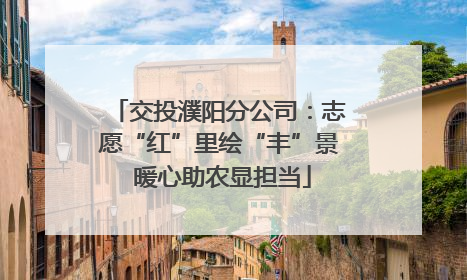 交投濮阳分公司：志愿“红”里绘“丰”景 暖心助农显担当
