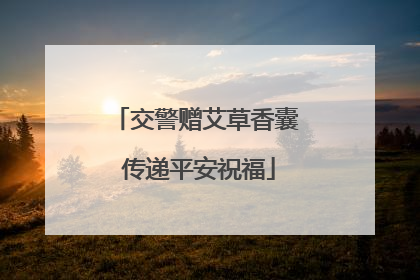交警赠艾草香囊 传递平安祝福