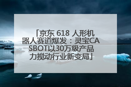 京东 618 人形机器人赛道爆发：灵宝CASBOT以30万级产品力搅动行业新变局
