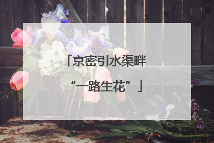 京密引水渠畔“一路生花”