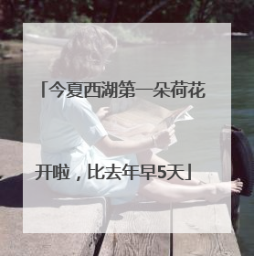 今夏西湖第一朵荷花开啦，比去年早5天