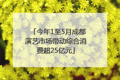 今年1至5月成都演艺市场带动综合消费超25亿元