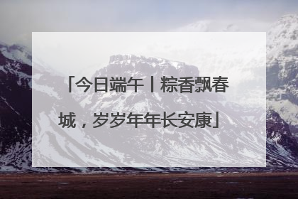今日端午丨粽香飘春城，岁岁年年长安康