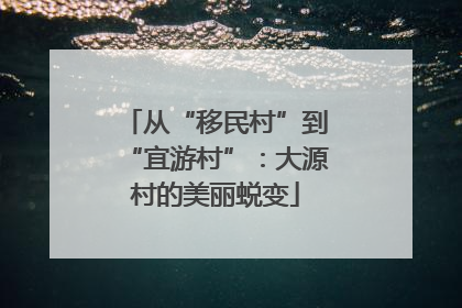 从“移民村”到“宜游村”：大源村的美丽蜕变
