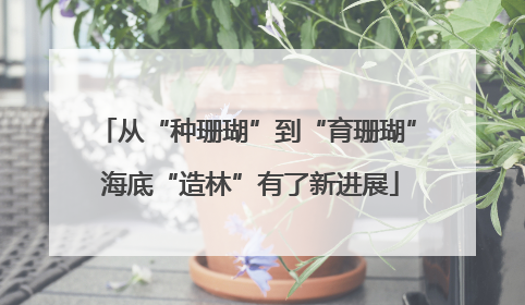 从“种珊瑚”到“育珊瑚” 海底“造林”有了新进展