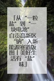 从“一粒盐”到“一块电池” 自贡高新区“钠”入新能源赛道版图丨美好生活有“盐”味