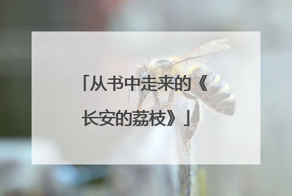 从书中走来的《长安的荔枝》