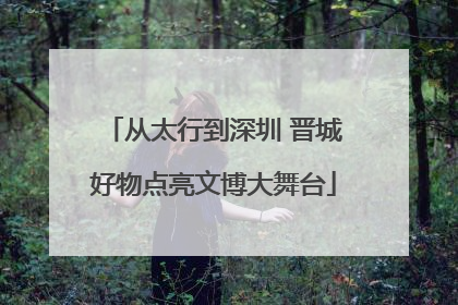 从太行到深圳 晋城好物点亮文博大舞台