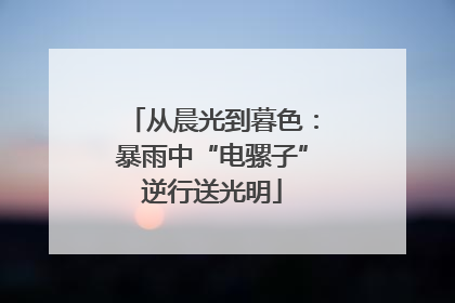 从晨光到暮色：暴雨中“电骡子”逆行送光明