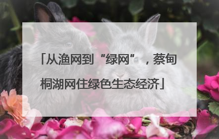 从渔网到“绿网”，蔡甸桐湖网住绿色生态经济